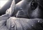 plUie-d'tOilE
